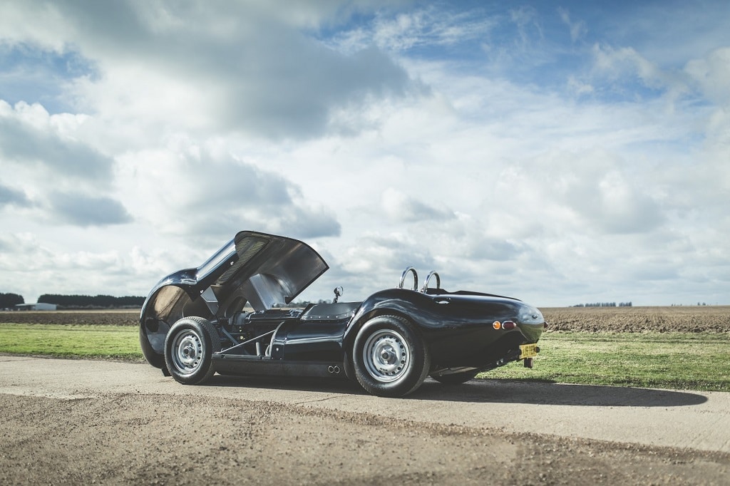 Lister Knobbly 2017