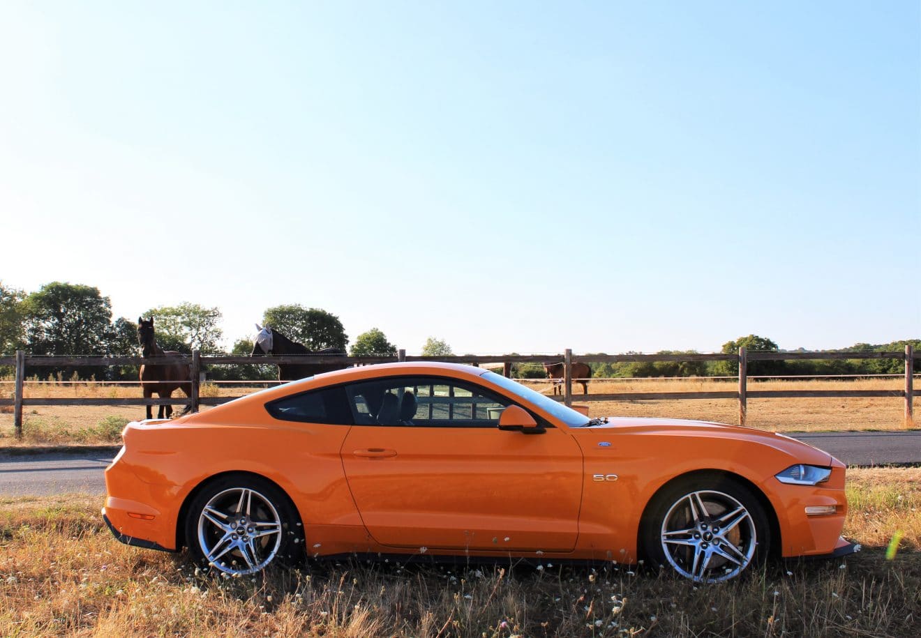 Mustang GT 2018