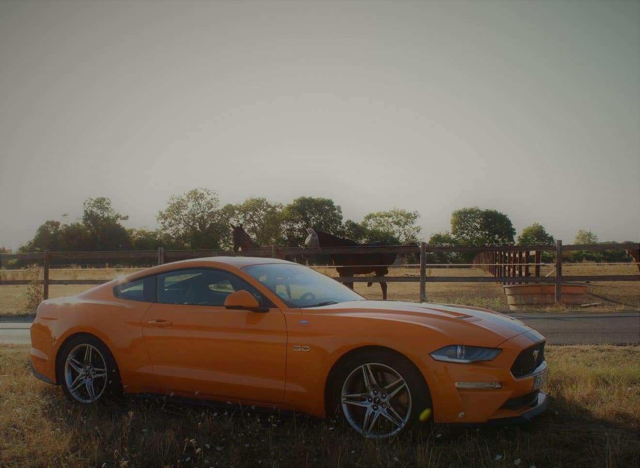 Mustang GT 2018