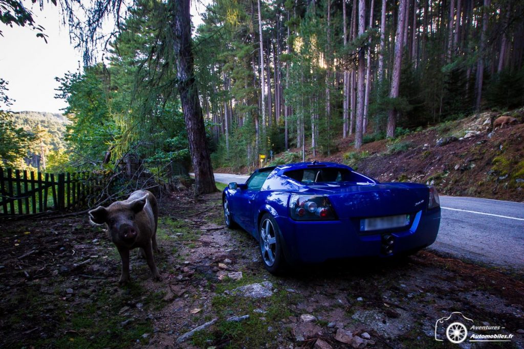 Rallye touristique Corse 2019 - Sylvain Bonato