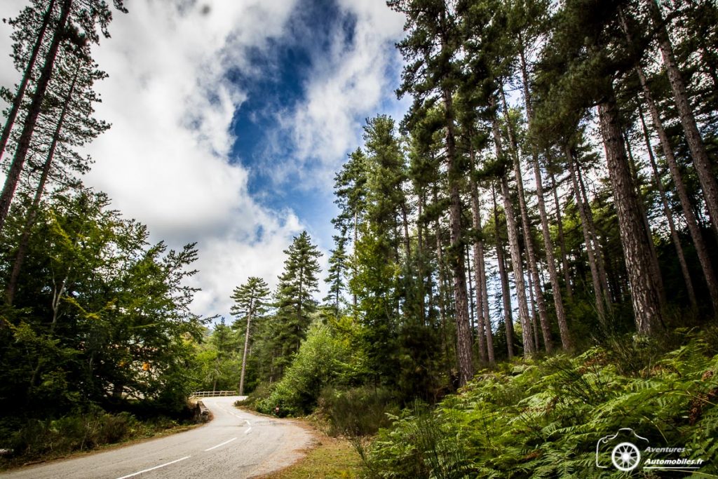 Rallye touristique Corse 2019 - Sylvain Bonato