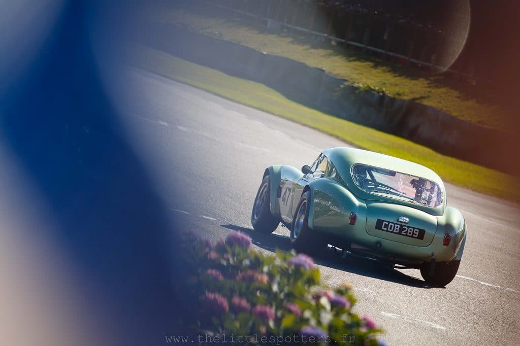 Goodwood Revival 2019