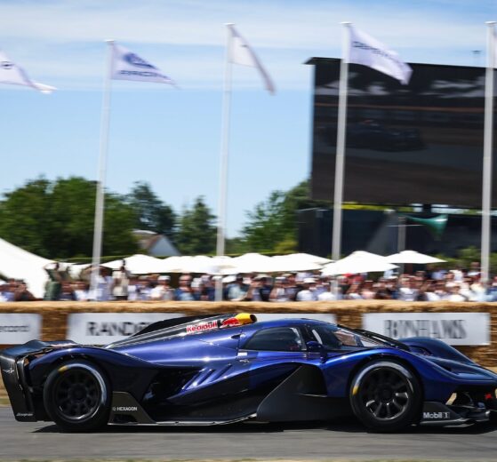 Red Bull RB17